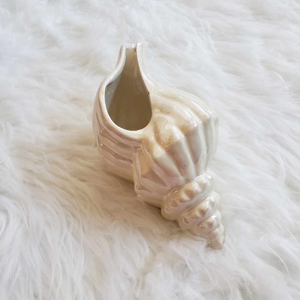 Decorative Conch shell